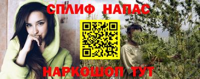 крисы Кунгур