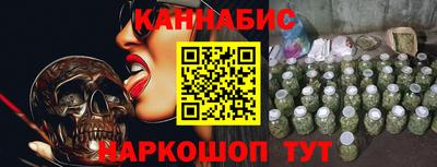 крисы Кунгур