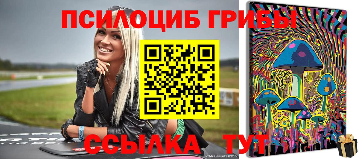 Галлюциногенные грибы мицелий Кизляр