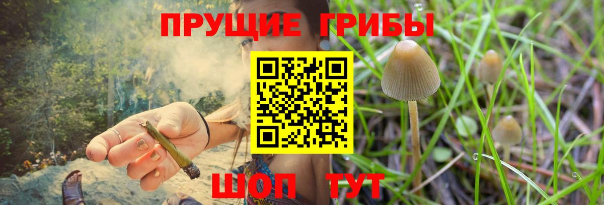 Галлюциногенные грибы ЛСД  Вход с VPN  Кизляр  Галлюциногенные грибы мицелий 